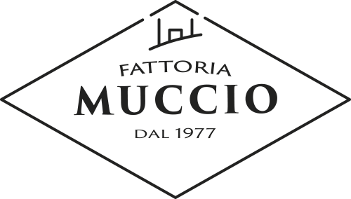 Fattoria Muccio