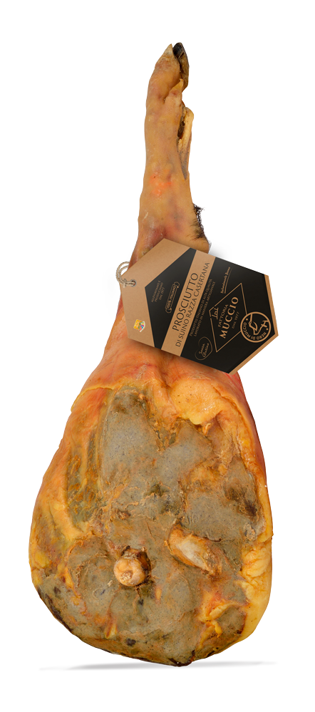 Nero di Muccio - Casertana breed pork ham