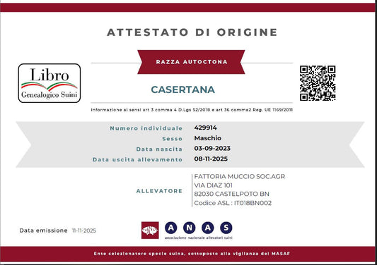 Tracciabilità di filiera Muccio